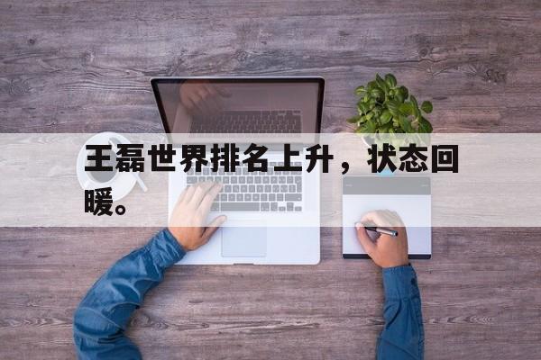 王磊世界排名上升，状态回暖。