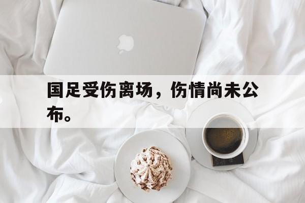开云官方网址-国足受伤离场，伤情尚未公布。